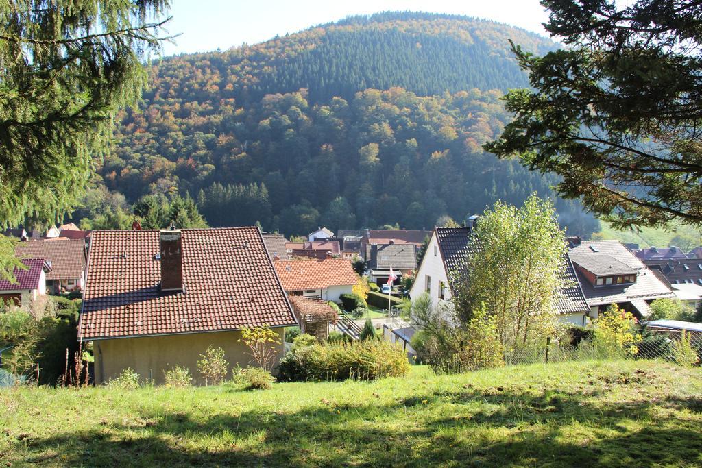 Haus Panoramablick Sieber Quarto foto